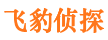 郸城外遇调查取证